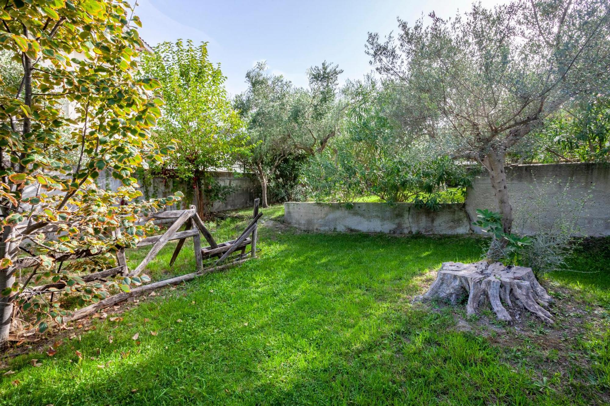 The Garden